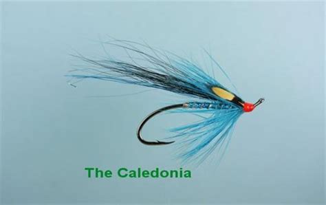 The Caledonia Fly Fishing Flies With Fish4flies Worldwide