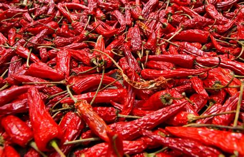What Are The Different Types Of Dried Chili Peppers