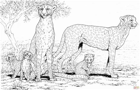 20 Free Printable Cheetah Coloring Pages