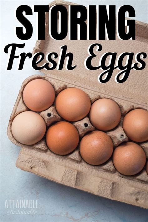 How long does eggs last? How Long Do Fresh Eggs Last? Your Guide to Using and ...