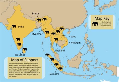 Pin on InfoGraphics