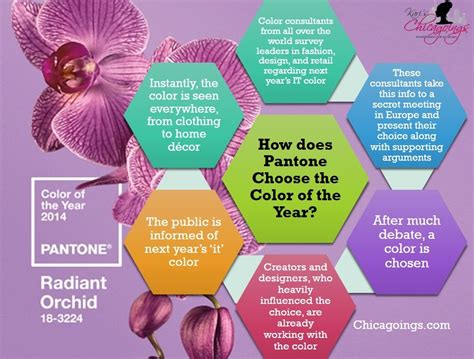 How Does Pantone Pick Its Color Of The Year