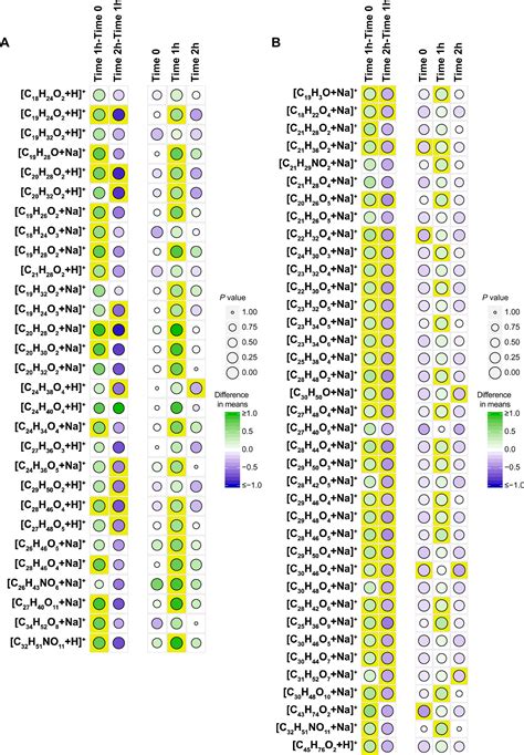 Linking The Fto Obesity Rs1421085 Variant Circuitry To Cellular Metabolic And Organismal