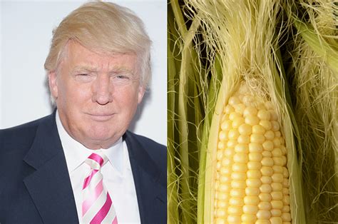 Https://tommynaija.com/hairstyle/corn Donald Trump Hairstyle