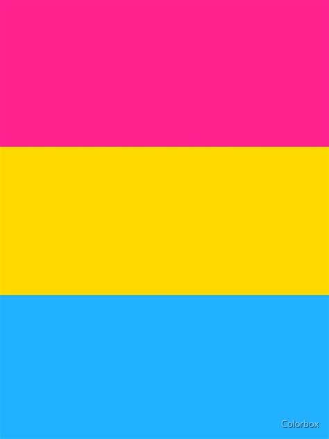 Pride is about the celebration of all the beautiful identities in the lgbtq+ community. "Pansexual Pride Flag" T-shirt by esyspam | Redbubble