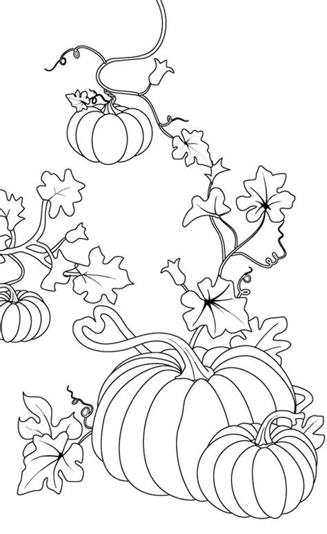 Pumpkin patch coloring pages] 17. Pumpkin Patch Coloring Pages Printable at GetColorings.com ...