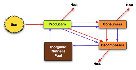 117 Flows And Storages Globalgeographer