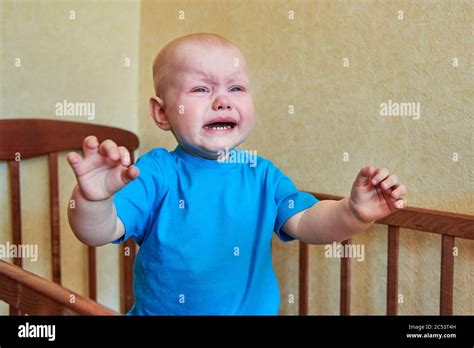 A Little Boy Is Standing In The Crib Crying And Calling His Mother