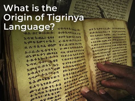 Amazing Tigrinya Language Facts Spoken By 7 Millions