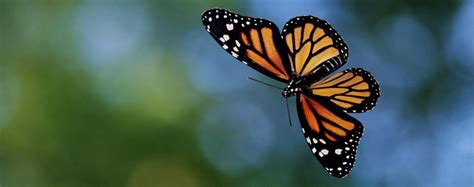 La transformación digital es una necesidad para cualquier empresa moderna. ¿Qué es la transformación? - Planeta Fácil