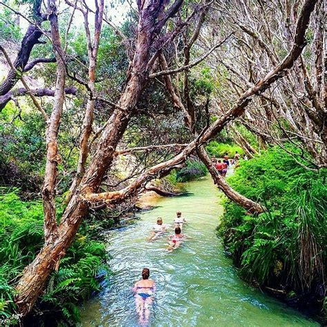 Freshwater Swimming Spots On Fraser Island All About Fraser