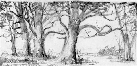 Forest Sketch Easy At Explore Collection Of Forest