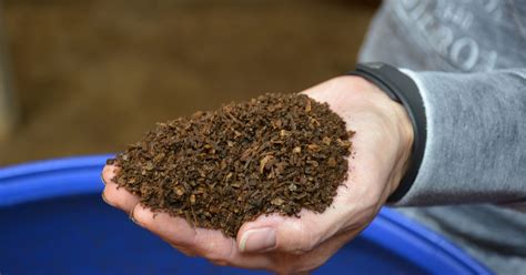Good question, only issue is that worm castings are actually a form of compost. Worm castings are a superfood for the garden