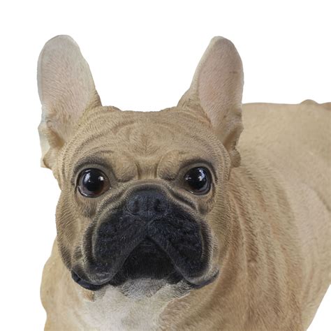 After staying in italy he began to sell his sculptures. Realistic Standing Brown French Bulldog Statue Ornament ...