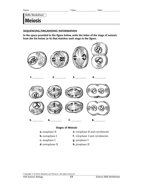 Using meiosis and crossovers, create 'designer' fruit fly offspring with desired trait combinations. Meiosis Vocabulary Worksheets