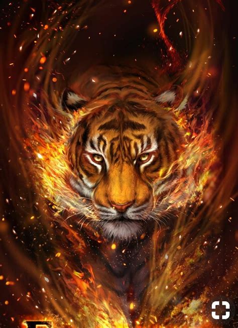 Pin By Ken Goo On Tigres E Felinos Tiger Artwork Tiger Art Wild