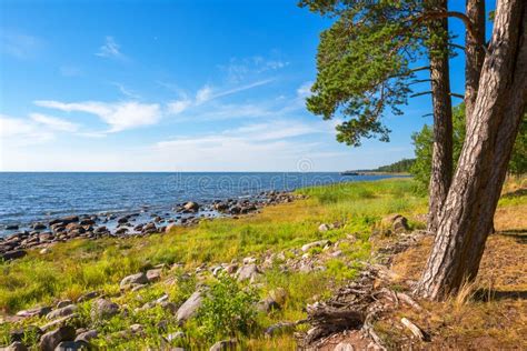 Coastline Of Baltic Sea Estonia Stock Photo Image Of Horizontal