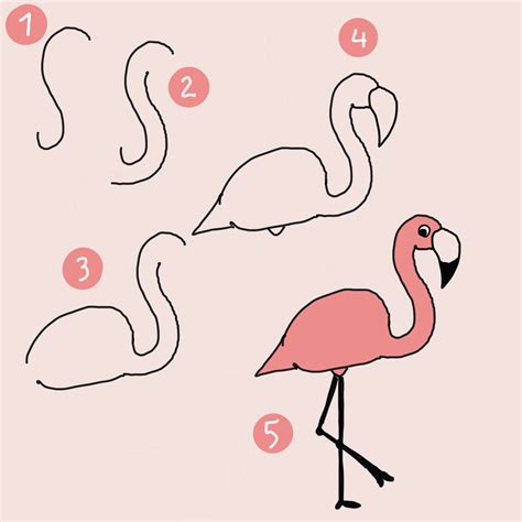 7 Flamingos Zeichnen Schritt Für Schritt Auch Für Kinder Und