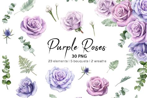 watercolor purple rose flowers clipart graphic by fineartlab · creative fabrica