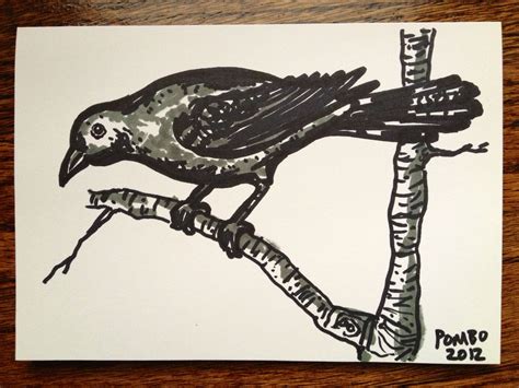 Early Bird Ink Pomboart Bird Art Art Bird