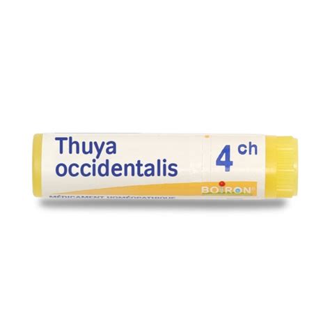 Thuya Occidentalis Dose Homéopathique Laboratoire Boiron Verrue