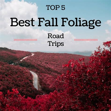 Top 5 Best Fall Foliage Road Trips To Travel This Year