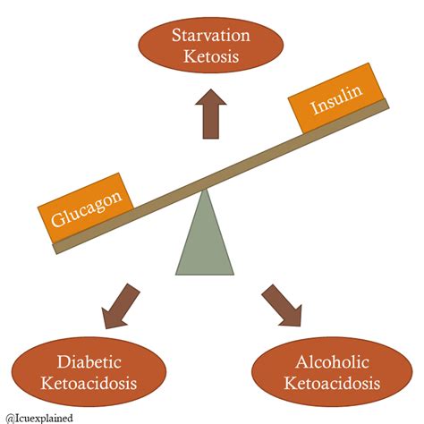 Pharmacologic therapies for persistent neonatal hypoglycemia. Use Of Glucagon And Ketogenic Hypoglycemia / Ketogenesis Wikipedia : Glucagon may also be used ...