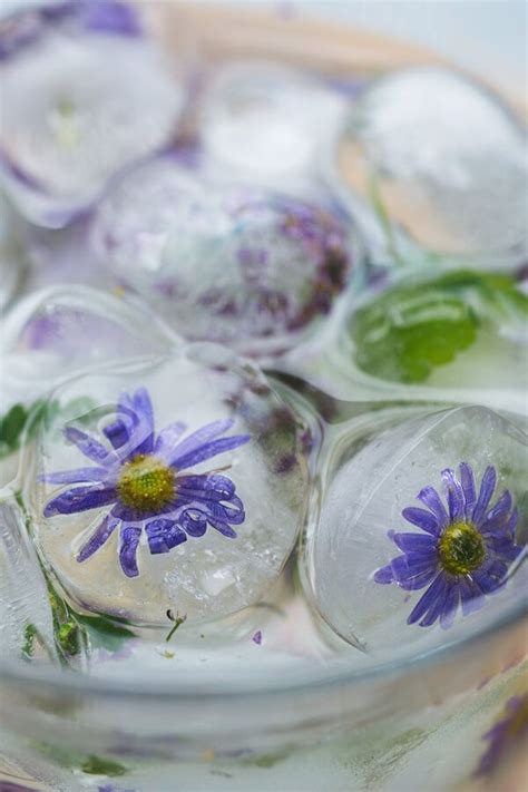 That doesn't mean that food can't be fun, though! Flower Ice Cubes - Edible flowers can be found in the ...