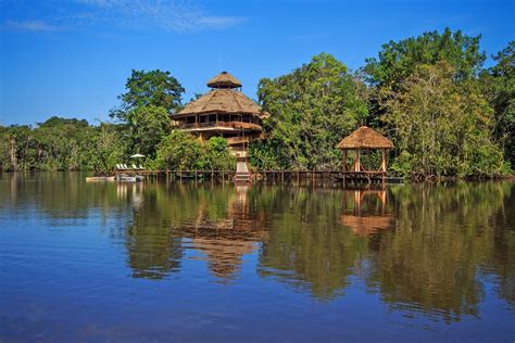 Последние твиты от amazon (@amazon). Top 5 Ecuador Amazon Lodges | Gulliver Expeditions