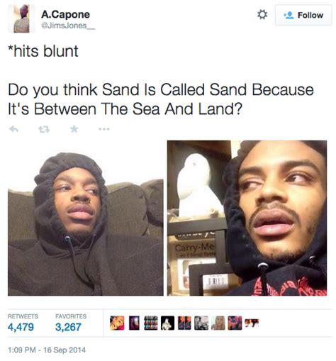 February 19, 2021 by haley lyndes. Image - 867842 | *Hits Blunt* | Know Your Meme