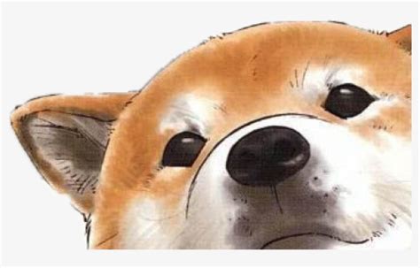 Shiba Inu Dog Animated Cute Puppy Pupper Tonton Friends
