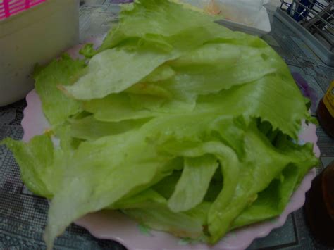 Spring roll is one of the most popular dishes of vietnamese cuisine that can be found at any destination throughout the country. Resepi : Vietnamese Spring Roll - Blog Nurulchumel
