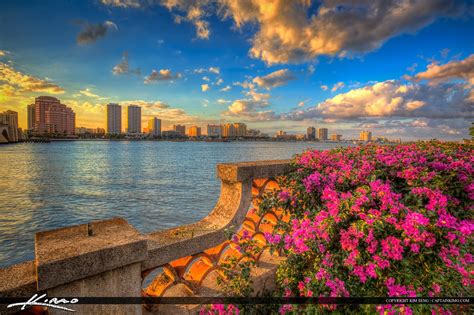 West Palm Beach Flowers At Waterway Beauitful Flowers At T Flickr