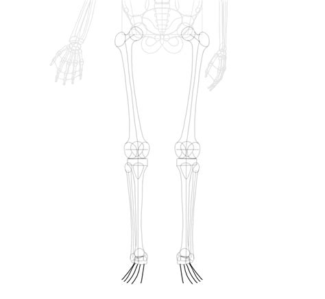 How To Draw A Skeleton Step By Step