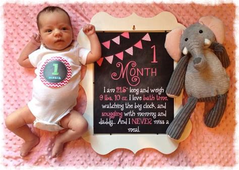 Babys First Year Monthly Chalkboard Photo Prop Sign Set Of 12