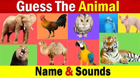 Guess The Animal Sounds For Kids Animal Sounds Game Preschool Learn
