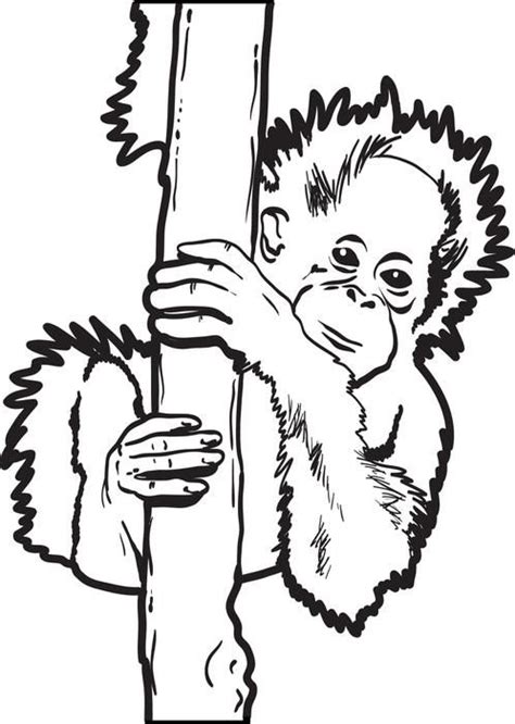 Orangutan mom and baby coloring page. Free, Printable Baby Orangutan Coloring Page | Baby ...