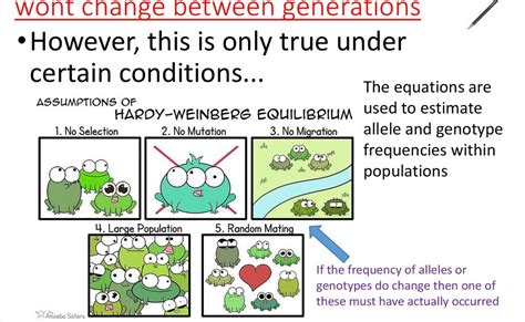 Genes ia and ib are dominant while і is recessive. Amoeba Sisters Alleles And Genes / Gene Expression 1 ...