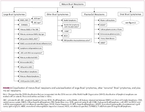 Demystifying The Diagnosis And Classification Of Lymphoma A Guide To