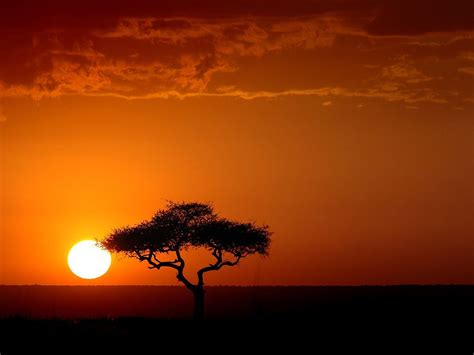 Sunset In Kenya African Sunset Kenya Sunset