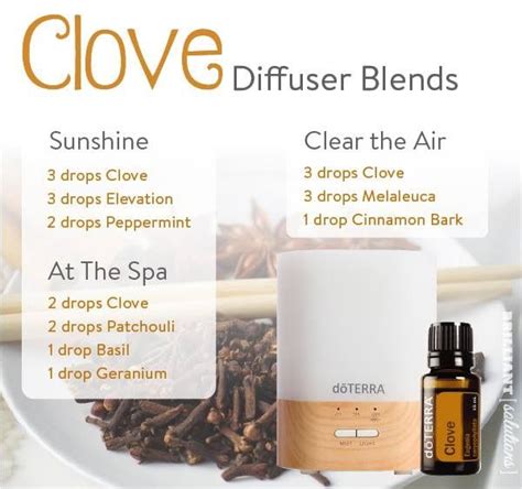 Tisserand and young recommend a dermal maximum of just 0.5%. Pin by Christina Campbell on essential oils | Essential ...