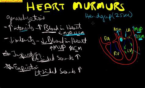 board review cardiology 5 heart murmurs overview valsalva standing handgrip etc youtube