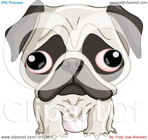 Clipart Of A Cute Pug Puppy Dog With Big Eyes Royalty Free Vector