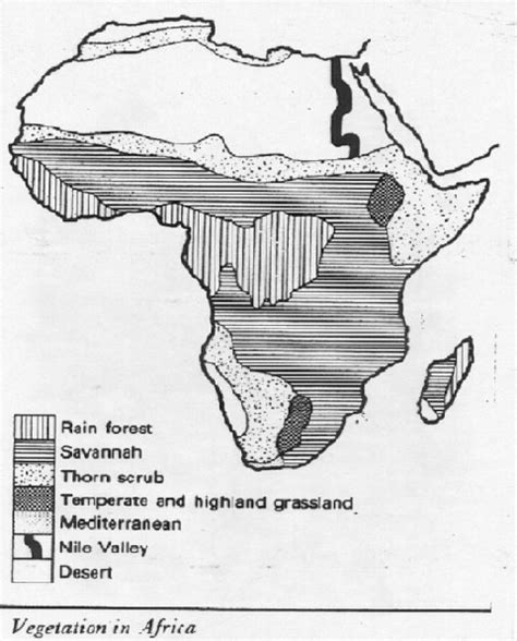 Keep reading to learn vegetation zones in nigeria and their features. Vegetation Map Of Africa / Defining Desertification - Satellite map showing africa's vegetation ...
