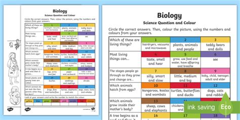 Year 2 Biological Science Questions and Colouring Worksheet / Worksheets