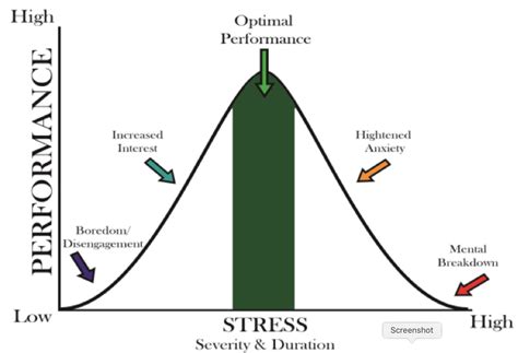 What Is The Right Level Of Stress Studynomics