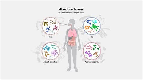 Microbioma