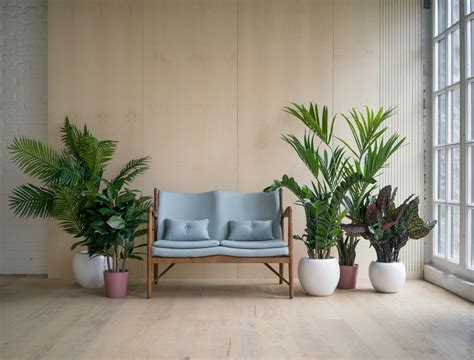 Plants In Living Room Decor