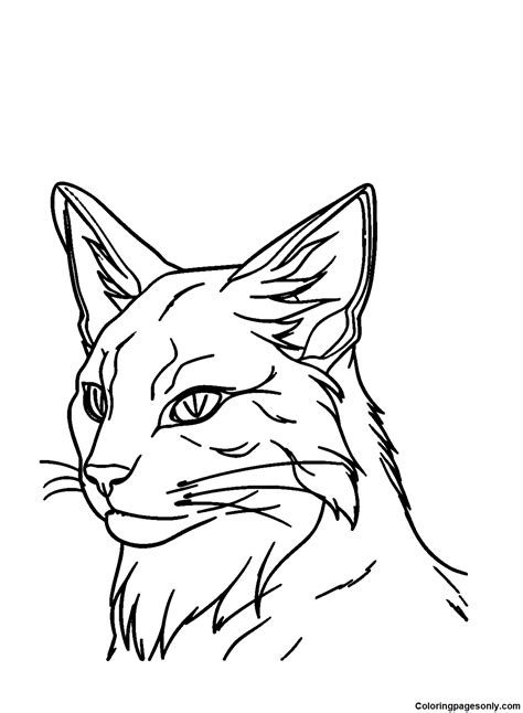 Squirrelflight From Warrior Cats Coloring Pages Free Printable