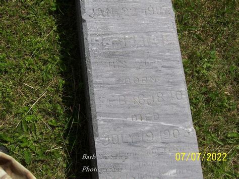 Pemelia E Dale Austin 1840 1903 Find A Grave Memorial
